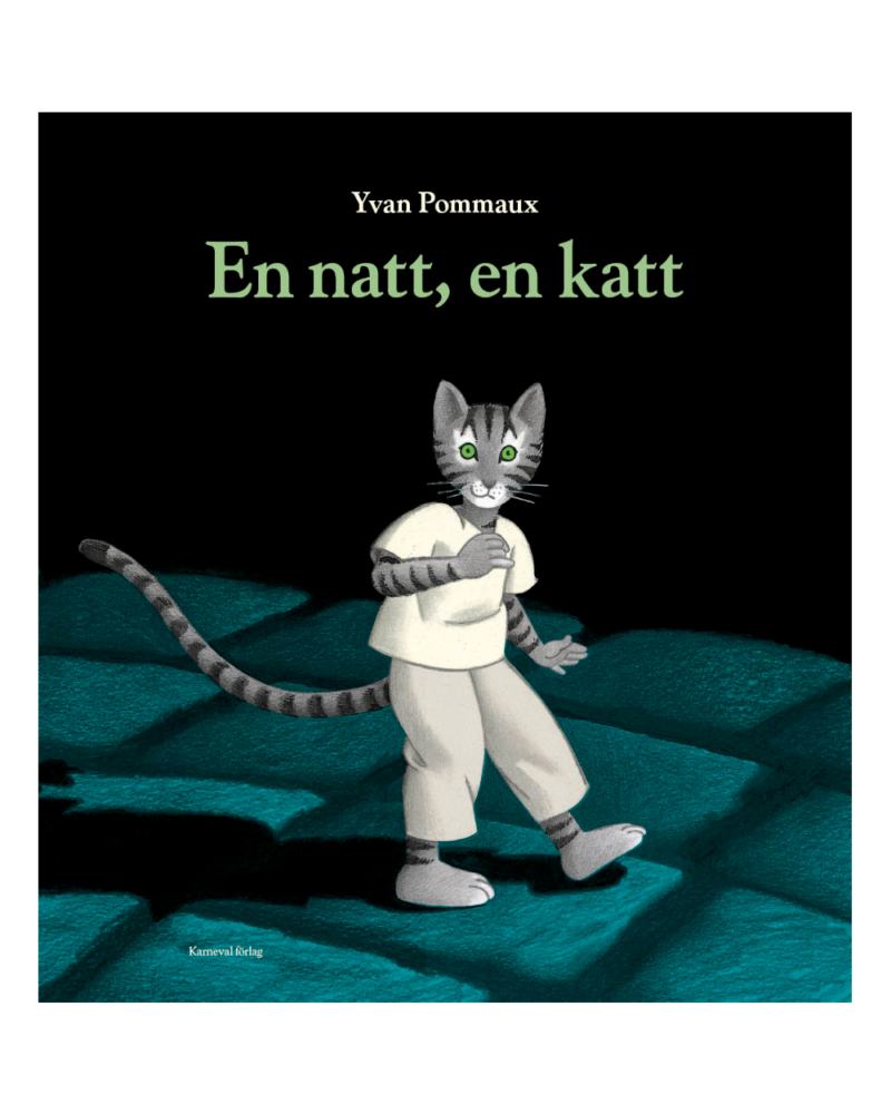 En natt, en katt