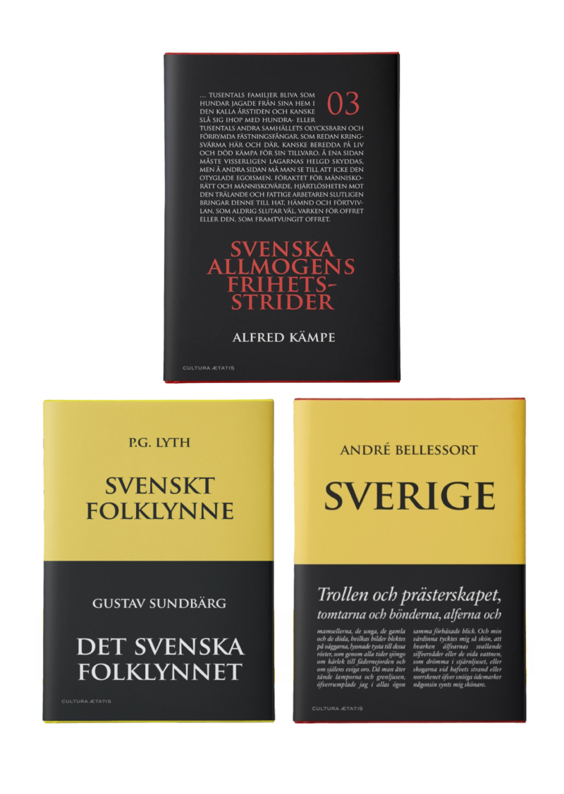 Svensken, staten & makten