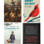 QLN-Guld - Tolvmånaderspaketet
