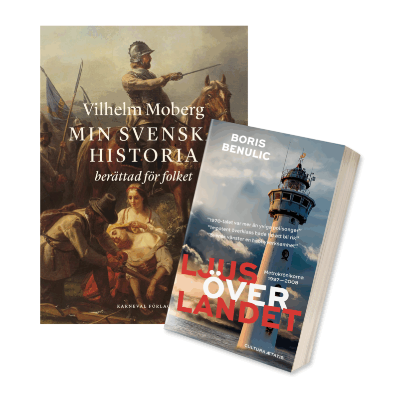Ljus över min historia