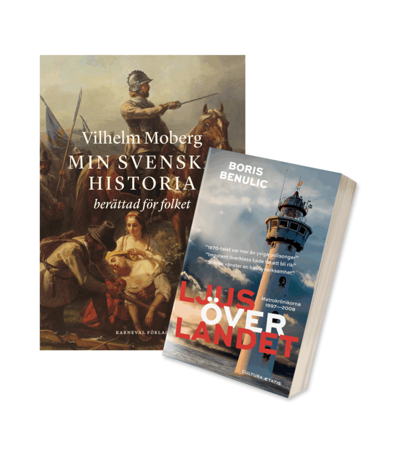 Ljus över min historia