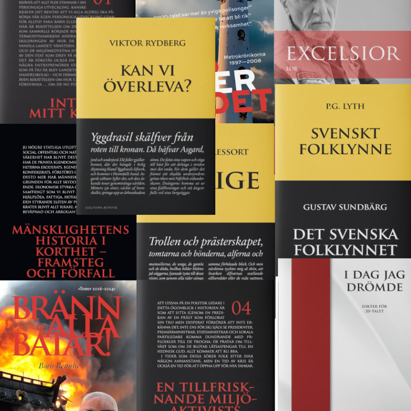 Stora bokpaketet