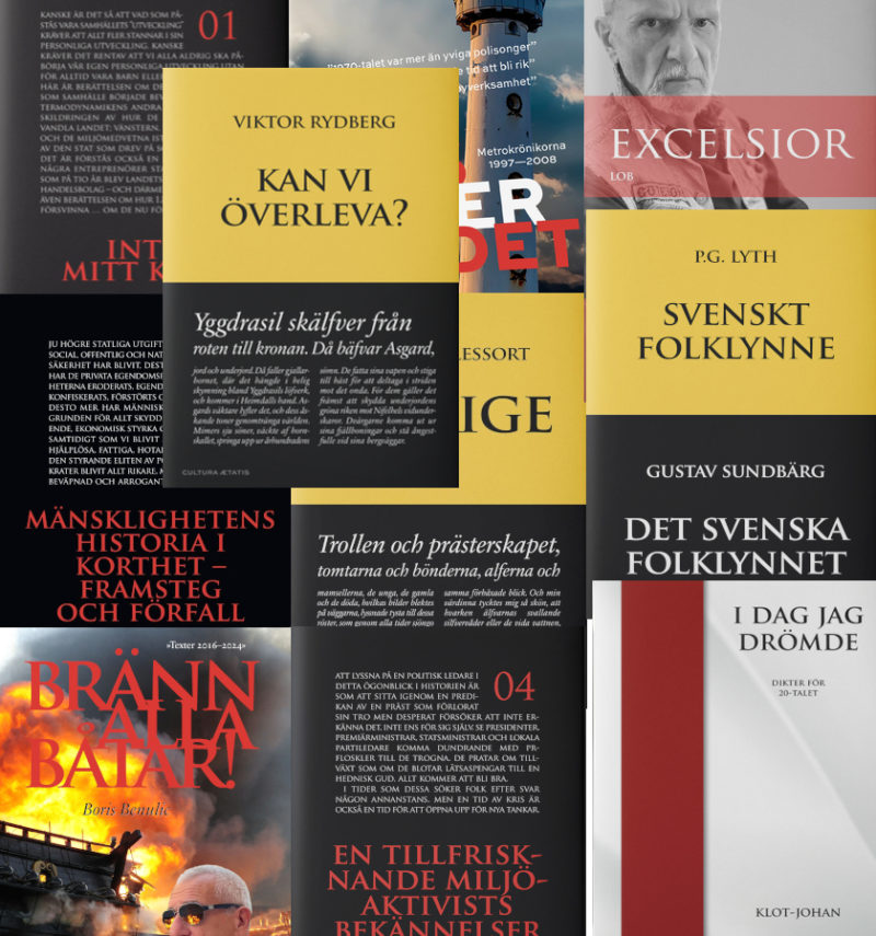 Stora bokpaketet